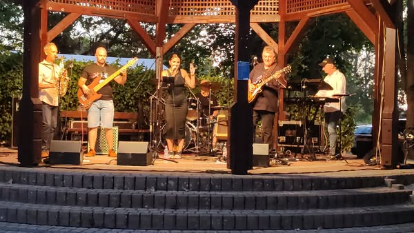Flóra And The Blues Fusion